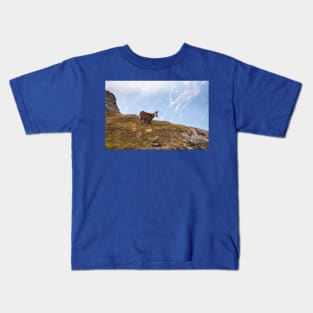 Mountain Chamois in High Tatras National Park Kids T-Shirt